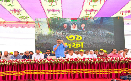 ষড়যন্ত্রকারীরা অন্তবর্তী সরকারের মাঝখানে ঢুকে গেছে : আমিনুল হক 