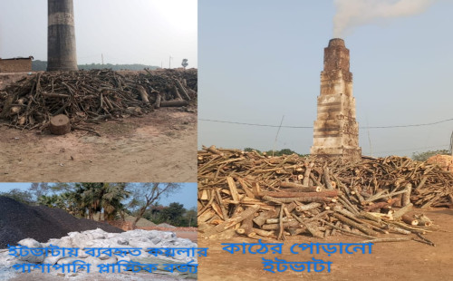 কাঠে পুড়ানো ইটের কারনে কয়লায় পুড়ানো ইটের বাজারে ধস, দুশ্চিন্তায় জিগজাগ ইট ভাটা  ব্যবসায়ীরা 