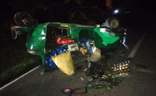 কাপ্তাইয়ে বন্যহাতির আক্রমণে অটোরিকশা খাদে, আহত দুই নারী 