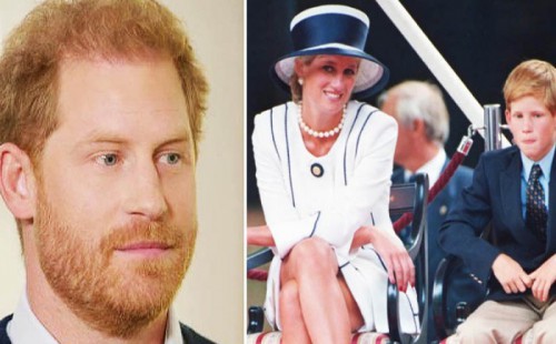 ঢাকায় পুলিশের গাড়িতে আগুনের ঘটনায় দুজন গ্রেপ্তার 