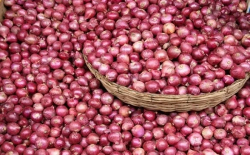 পেঁয়াজ রপ্তানিতে সুখবর দিল ভারত 