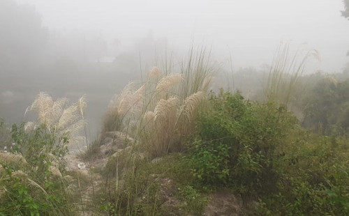 ঘন কুয়াশা শীতের আগমনী বার্তা দিচ্ছে উত্তরের জেলা পঞ্চগড়ে। 