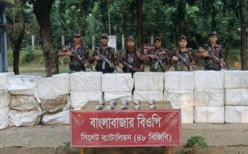 সিলেট সুনামগঞ্জ সীমান্তে ২২ লাখ টাকার ইলিশ জব্দ করলেন বিজিবি । 