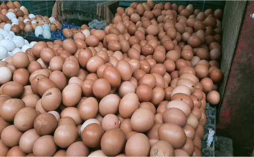 বাংলাদেশে এখন ডিমের বাজারে আগুন : ডজন ১৭০, পিস ১৫ টাকা 