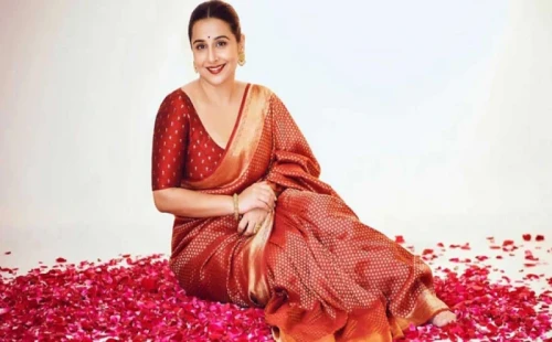 বলিউডের একদিকে গুণী অভিনেত্রী বিদ্যা বালান আর অন্যদিকে ধাকধাক গার্ল মাধুরী। 