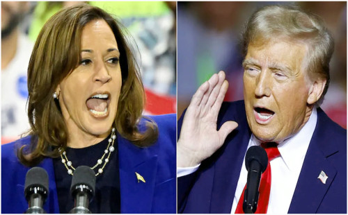 যুক্তরাষ্ট্রের প্রেসিডেন্ট নির্বাচনে চূড়ান্ত ফল নির্ধারণী দোদুল্যমান সাত রাজ্যে শেষ। 