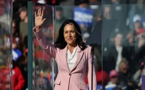 তুলসী গ্যাবার্ডকে যুক্তরাষ্ট্রের নবনির্বাচিত প্রেসিডেন্ট ডোনাল্ড ট্রাম্প ন্যাশনাল সিকিউরিটি। 