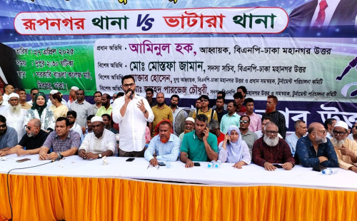 বিএনপি জনগণের সরকার প্রতিষ্ঠা করতে চায়- আমিনুল হক 