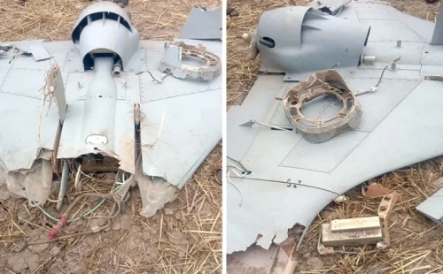 ইসরায়েলের তৈরি ড্রোন ব্যবহার করছে ভারত, ২৫টি ভূপাতিত করল পাকিস্তান 