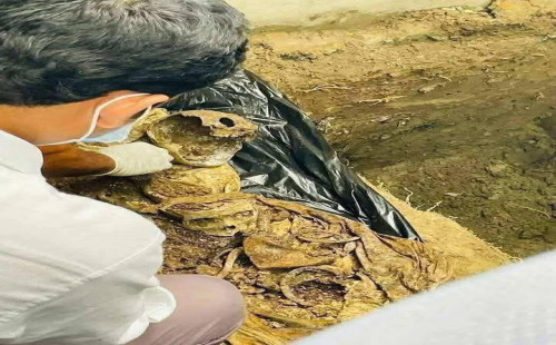 জুলাই মাসে শেখহাসিনার  সন্ত্রাসী পুলিশের গুলিতে নিহতর লাশ ৯মাস পড়ে কবর থেকে উত্তোলন 