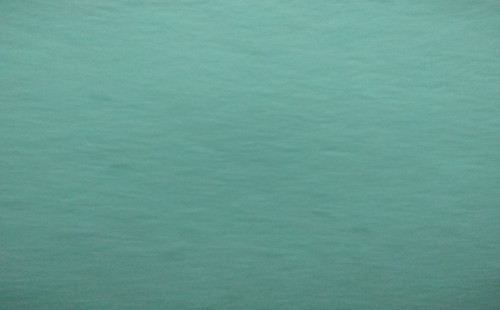 পল্লীশ্রী’র উদ্যোগে বিভিন্ন ট্রেডে প্রশিক্ষণপূর্বক প্রশিক্ষনার্থীদের মাঝে উপকরণ বিতরণ 