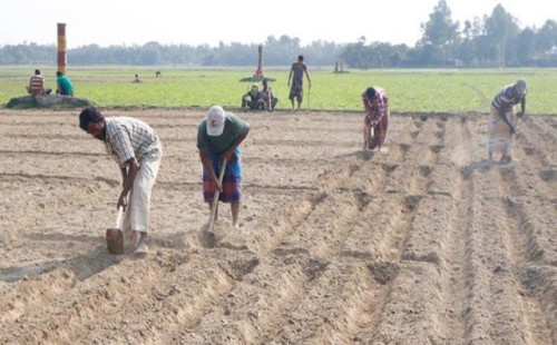 জুলাইয়ে চালু হচ্ছে ভূমি মালিকানা সনদ 