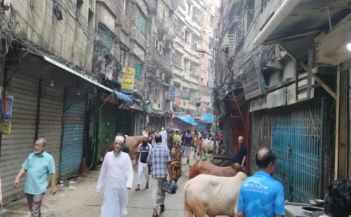 ঈদের দিতীয় দিনেও চলছে পশু কোরবানি 