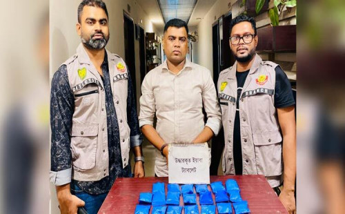 যাত্রাবাড়ী থানারর এলাকায় বিপুল পরিমাণে ইয়াবাসহ একজন আটক 