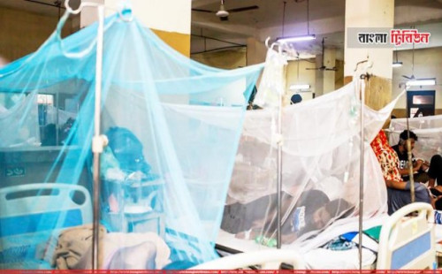 ডেঙ্গুতে আক্রান্ত হয়ে আরও ২৯৪ জন হাসপাতালে ভর্তি 